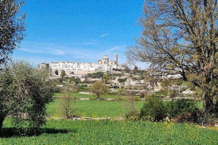 Locorotondo to Alberobello E Bike Tour