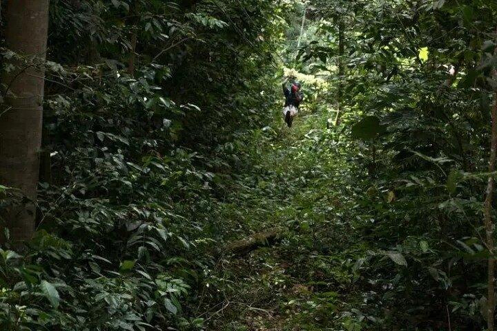 Treetop Adventure Park Canopy Tour