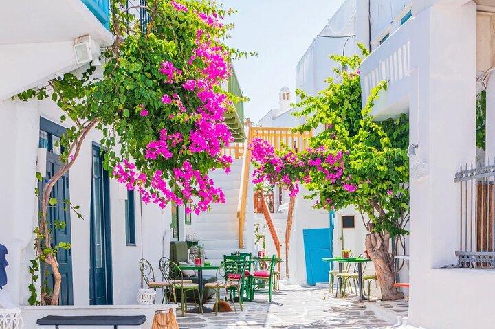 Mykonos Small Group Tour for Cruise Passengers — Port Pickup