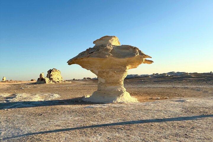 White Desert Awaits Ultimate Safari Adventure