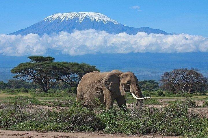 3 Days Group Safari Adventure to Amboseli National Park 4x4 jeep.