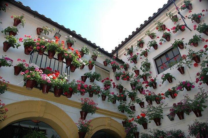 Tour to Cordoba from Seville in Group