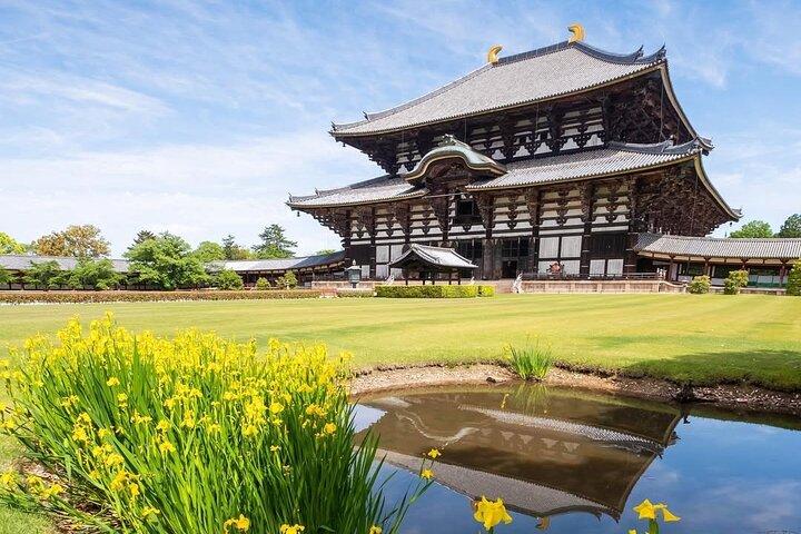 Kyoto & Nara & Uji: Full Day Sightseeing Tour from Osaka or Kyoto