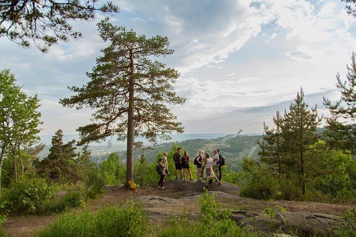 Best View of the Oslofjord Hike