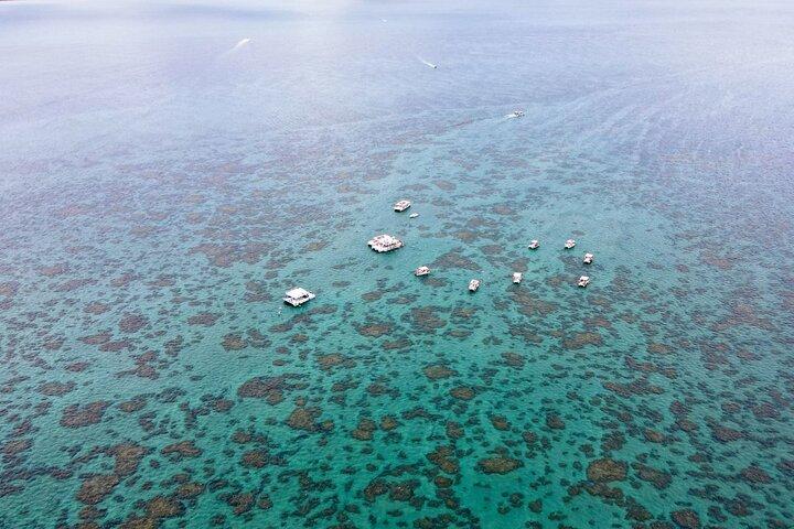 Diving in Maracajau (catamaran included) - From Christmas van