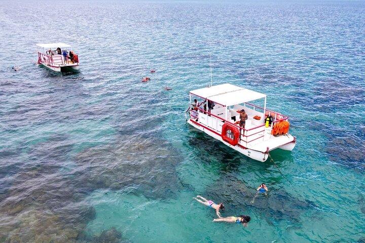 Diving in Maracajau (catamaran included) - From Christmas van