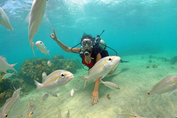 Diving in Maracajau (catamaran included) - From Christmas van