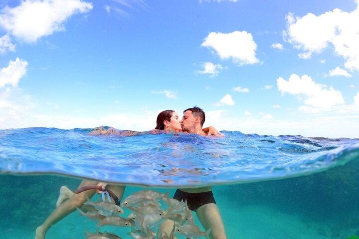 Diving in Maracajau (catamaran included) - From Christmas van