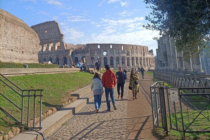Colosseum, Roman Forum and Palatine Hill Private Tour