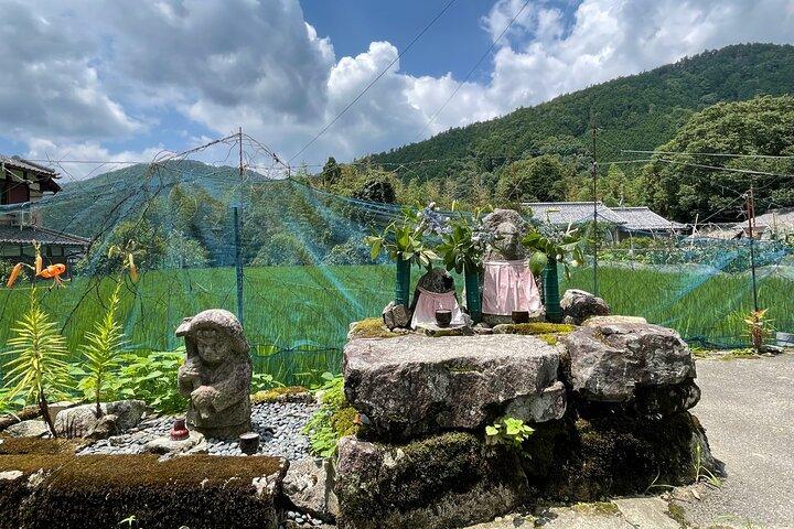 Rural Kyoto One Day Tour of a Tranquil Landscape in Ohara