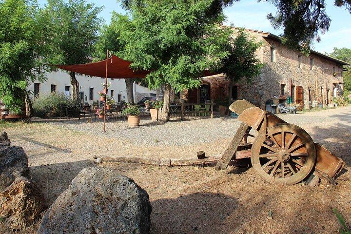 Small-Group Arezzo and Cortona Day Trip from Siena