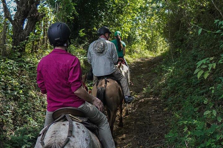 Horseback Ride to Colombia's Only Macaw & Parrot Sanctuary