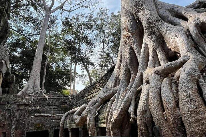 Siem Reap Temple Tuktuk Tour: Explore Angkor Wat and beyond.