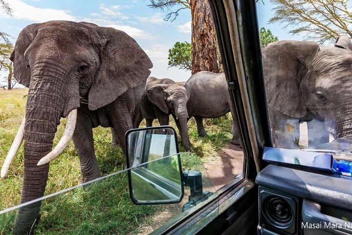 14 Days Kenya And Tanzania Big 5 Wildlife Safari From Nairobi