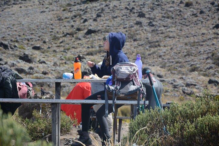 Budget 5 Days Marangu route Kilimanjaro Climbing Group join Tour