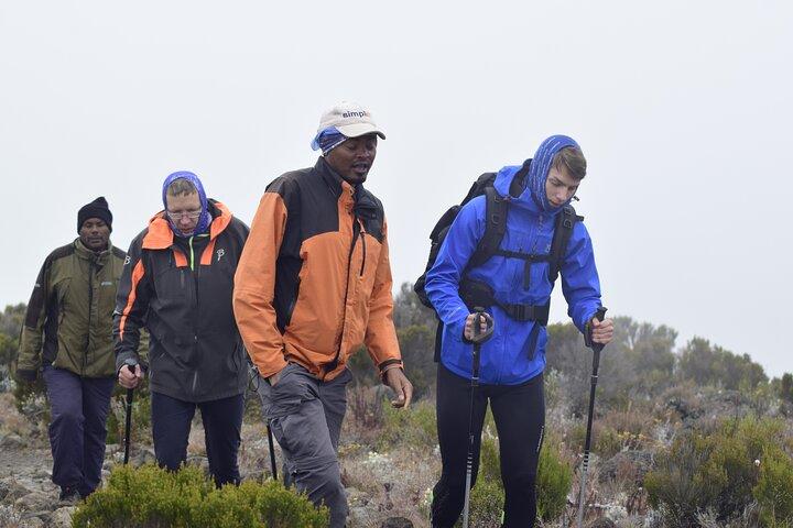 Budget 5 Days Marangu route Kilimanjaro Climbing Group join Tour