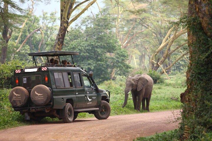 8 Days Combined Kenya and Tanzania Luxury Safari