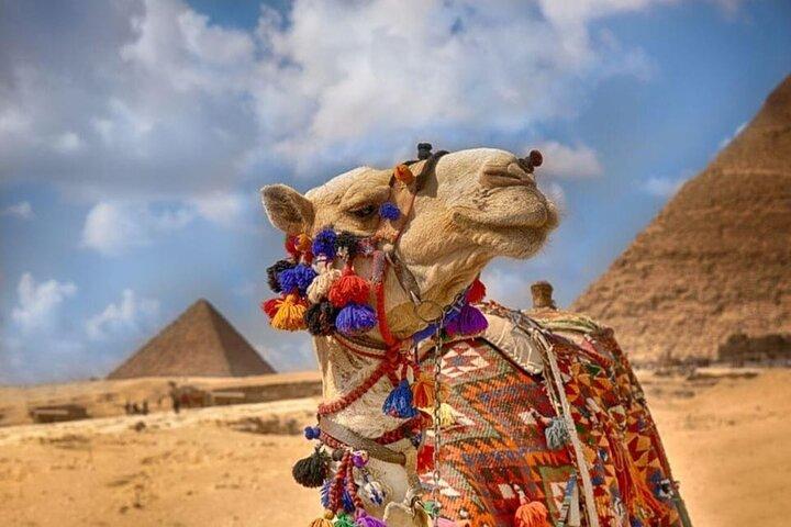 Luxury Tour: Giza Pyramids, Memphis & Saqqara Day Tour