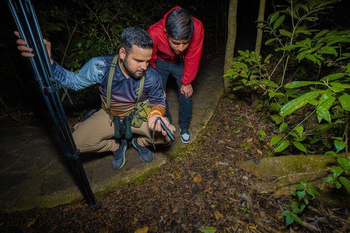 Monteverde Cloud Forest Guided Night Walk