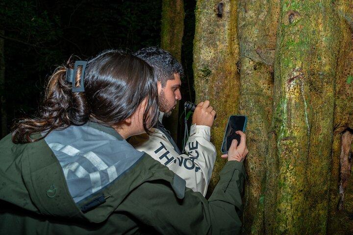 Monteverde Cloud Forest Guided Night Walk