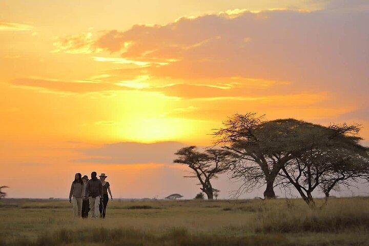 4 Day Joining Safari of Wild Wonders Serengeti and Ngorongoro