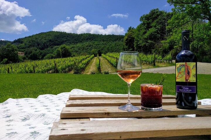 Montepulciano: A picnic with wine, surrounded by vineyards