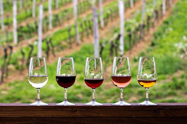 Exclusive Montalcino Wine Experience