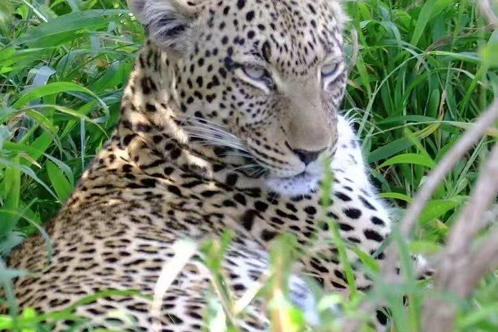 Experience the Best of Tanzania’s Wildlife and Landscapes