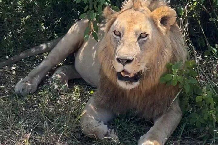 Experience the Best of Tanzania’s Wildlife and Landscapes