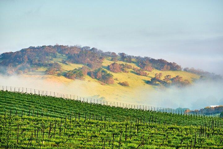 Self-Guided Audio Driving Tour of Sonoma and Napa Valley