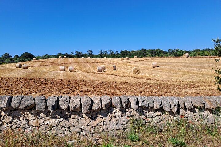 Locorotondo to Alberobello E Bike Tour