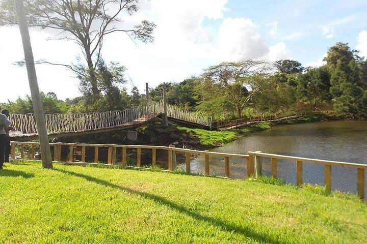 Kibera Slums and Stedmak Gardens Animal Park Guided Day Tour