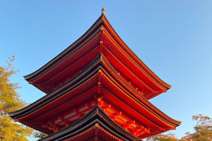 Single- & multi-day Adventures within Kyoto Nara Osaka Kobe