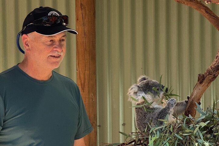 PRIVATE Blue Mountains Scenic World Australian Wildlife & Cruise