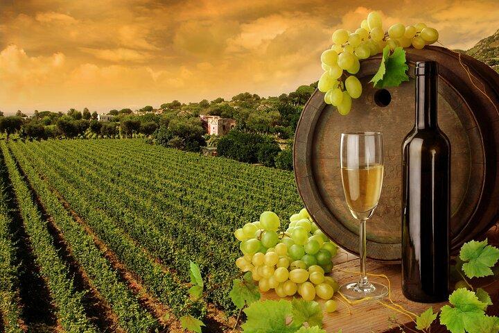 Private Nemea Wine Tour with Van & Tastings from Nafplio