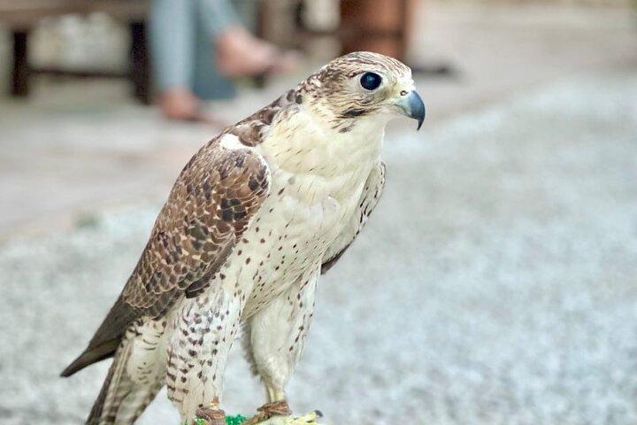 Dubai: Old Dubai walking tour, tasting , Market & Abra boat ride
