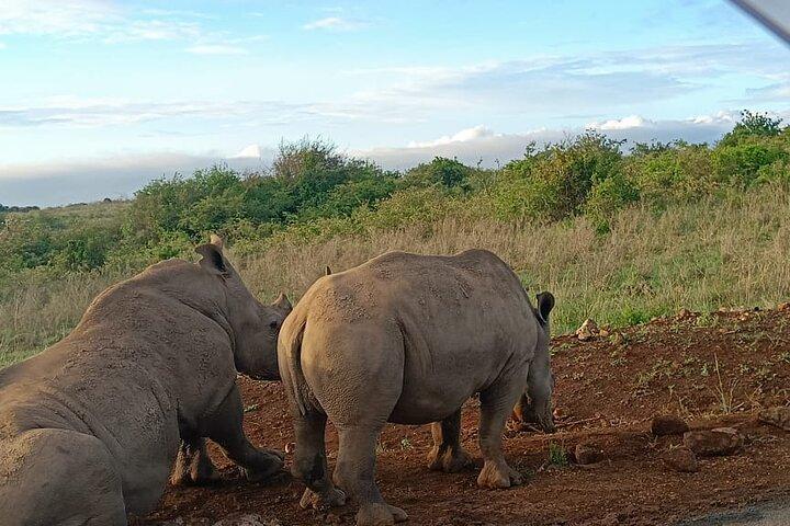 Nairobi National Park Guided Tour