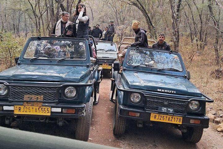 Ranthambore Tiger Reserve Private Gypsy Safari All inclusive
