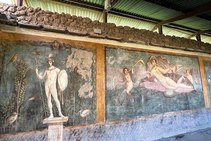 Pompeii with an Archaeologist Shared or Private Tour from Naples