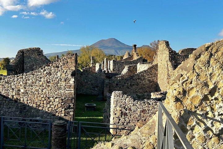 Pompeii with an Archaeologist Shared or Private Tour from Naples