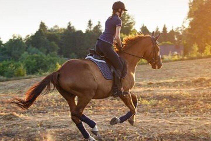 Sunrise Horse Riding Experience in Dubai Desert with Lake View