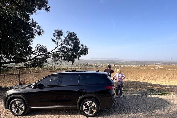 Fes to Volubilis, Moulay Idriss and Meknes Private Day Trip