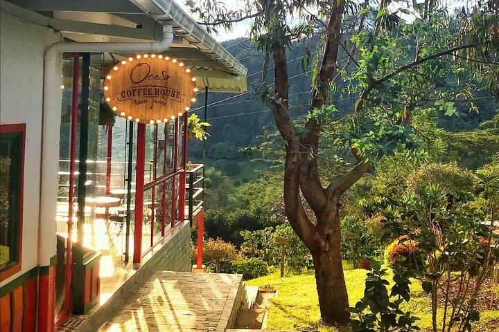 Immersive Coffee Farm Experience at Finca El Ocaso from Salento