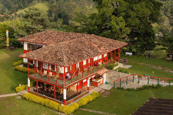 Immersive Coffee Farm Experience at Finca El Ocaso from Salento