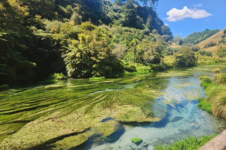 Private Tour WaiOtapu & Huka Falls & Blue springs from Auckland