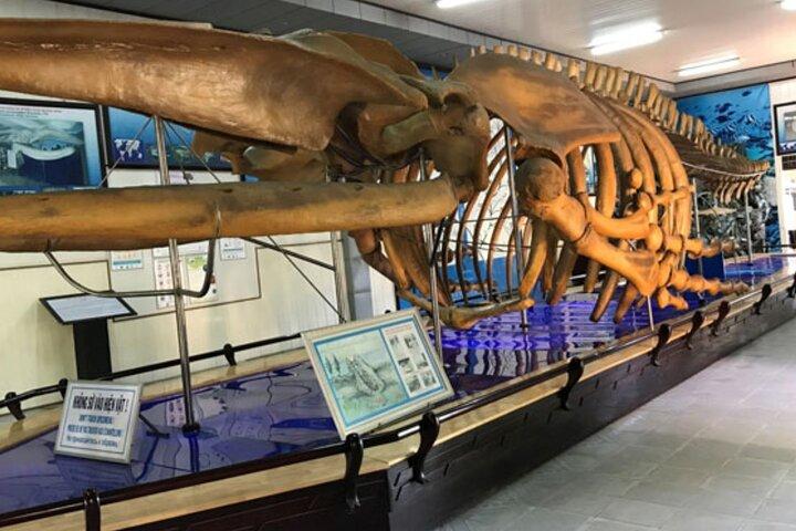 Nha Trang Half-Day Tour: Top Attractions & Hidden Gems