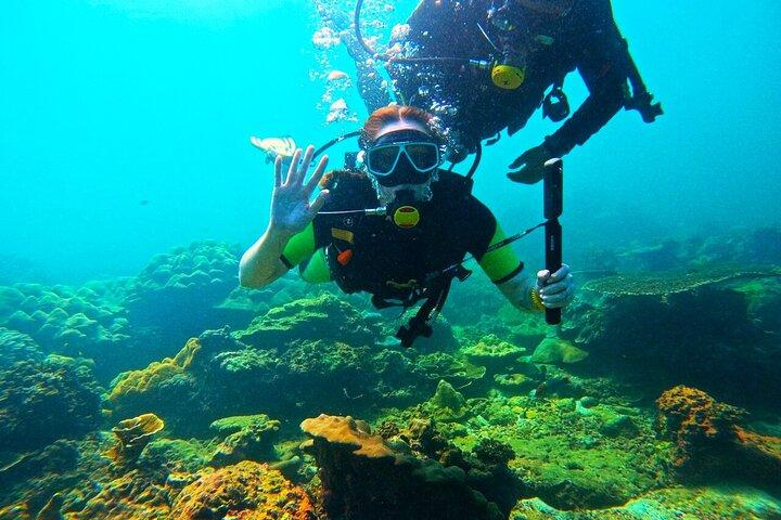 Phuket Scuba Diving Maiton Private Island Small Group or Snorkel