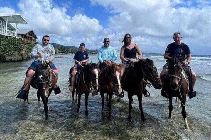 Roatan Horseback Riding Island Tour Combo