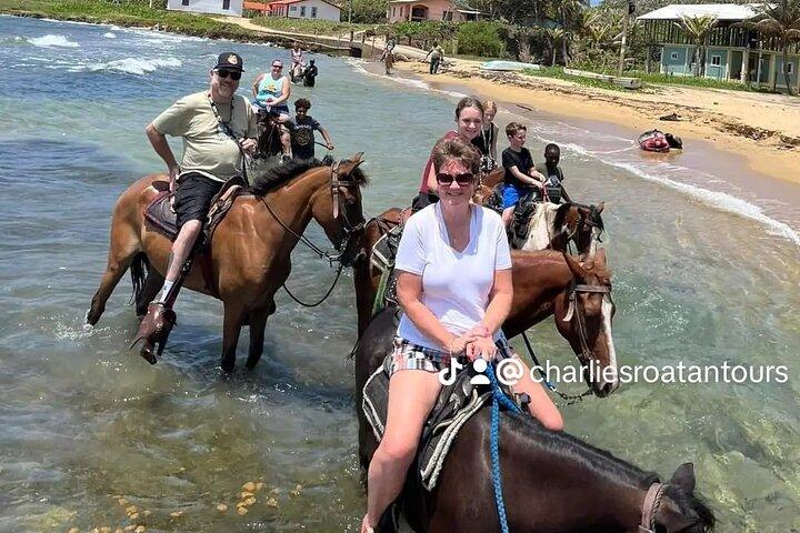 Roatan Horseback Riding Island Tour Combo