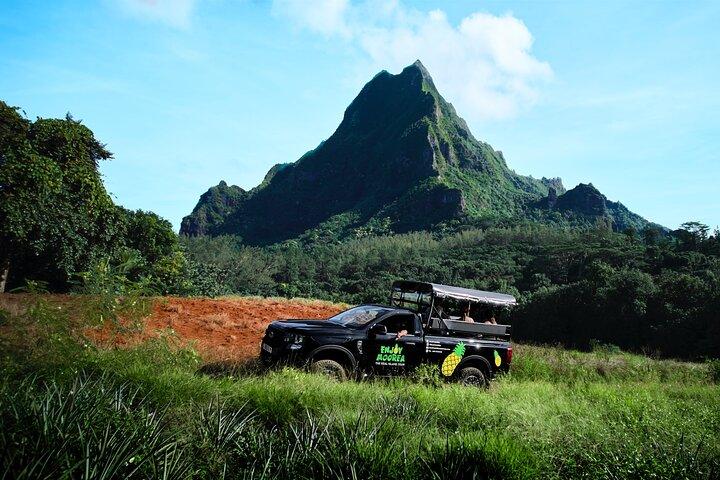 Enjoy Moorea Day Tour
